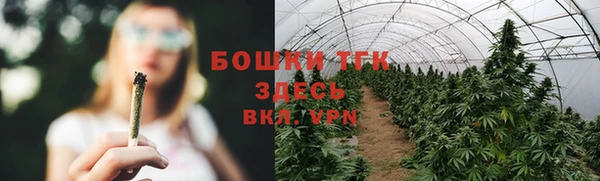spice Лагань