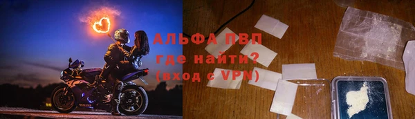 хмурый Ладушкин