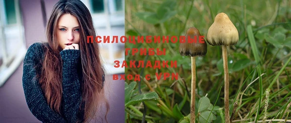 spice Лагань